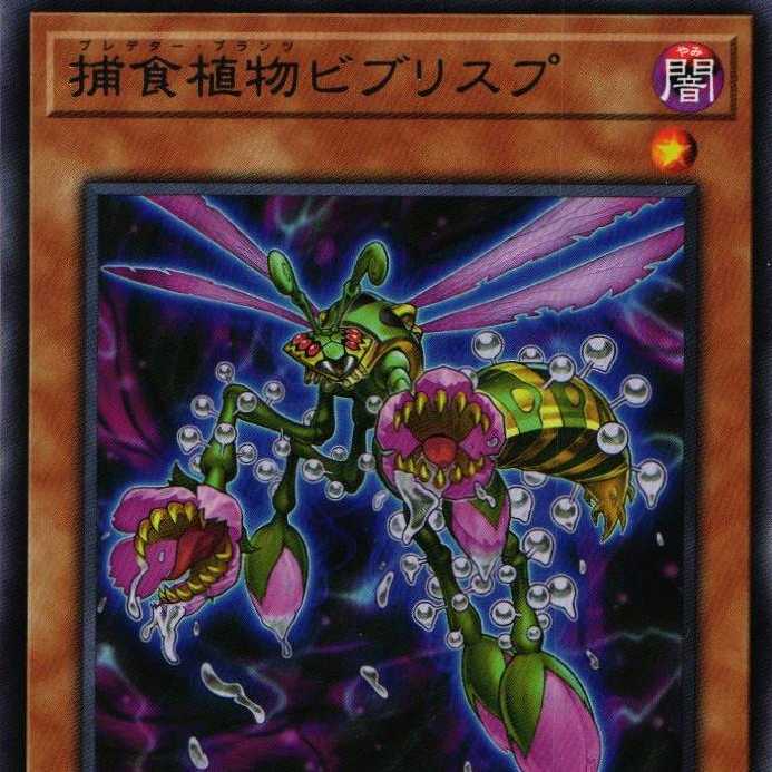 DIFO-JP017 Prey Upon Plant Bib Squirrelp 3 pieces