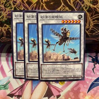 Puya Desert Locusts [No] x 3