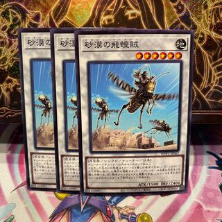 Puya Desert Locusts [No] x 3