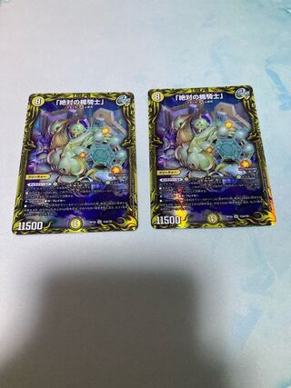 Absolute shield knight" (20th rare specification)