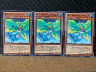 【ぽぽたん】遊戯王 8458 霊水鳥シレーヌ・オルカ 3枚 ノーマル