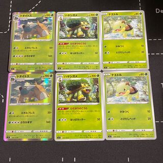 Two Torterra evolution lines, two sets in stock.