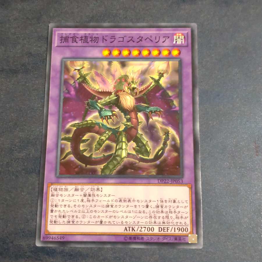 [Contracted] Predaplant Dragostapelia Normal [Korindo].