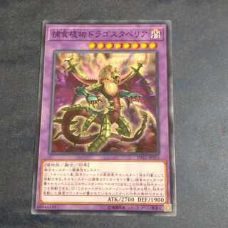 [Contracted] Predaplant Dragostapelia Normal [Korindo].