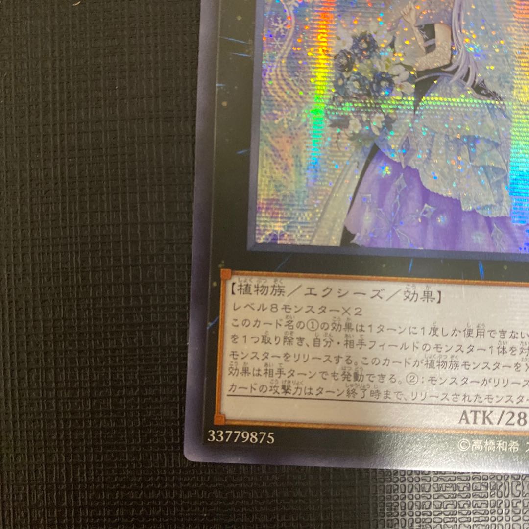 アジア 六花聖ティアドロップ シークレットレア