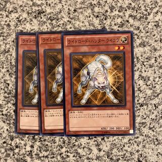 Ryko, Lightsworn Hunter 1枚