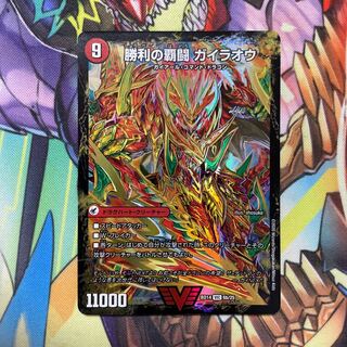 Supreme Fighting Shogun Gaiou Burn｜Victorious Supreme Fighting Gaiou