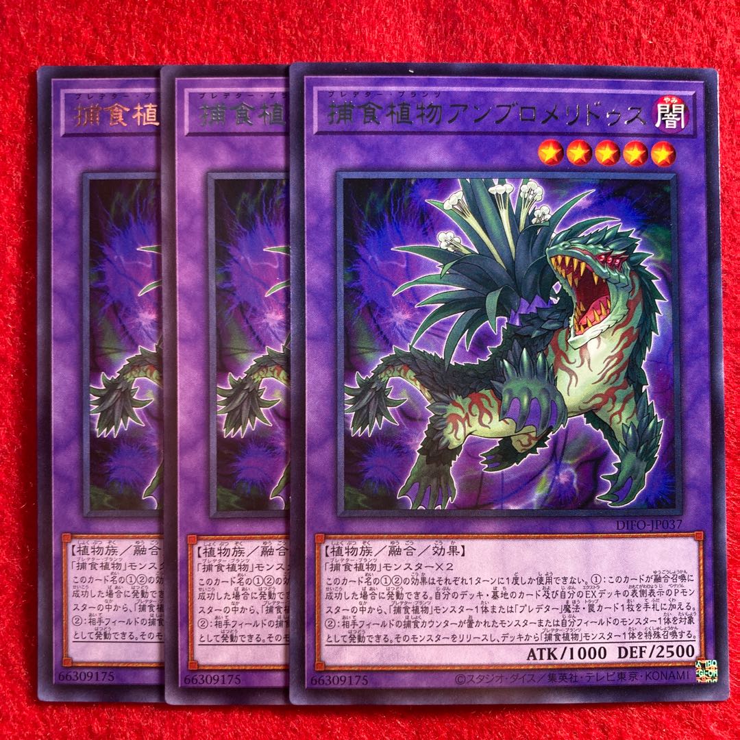 Prey Upon plant ambro meridus ☆ 5618