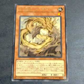 Ten Wei Long - Ardara Rare [Korindo].