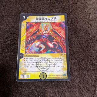 Eurasian scops owl (Otus scops)