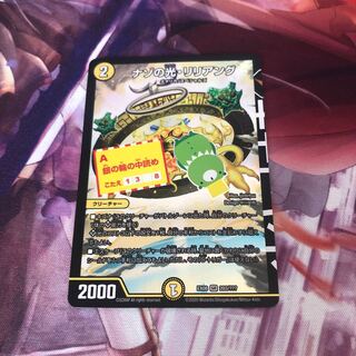 Lilliang, the light of riddles