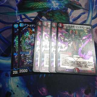 リンネビーナス アクアンメルカトール