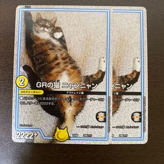 GRの猫 ニャンニャン