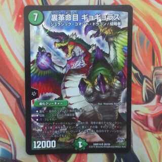 裏革命目 ギョギョラス