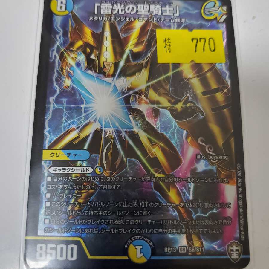 "Holy knight of lightning."