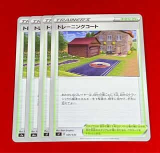 Training Court 4 sheets