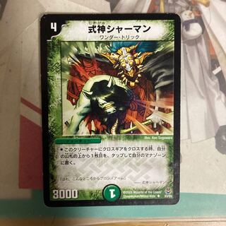 [Lowest Price] Shikigami Shaman