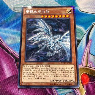 青眼の亜白龍 角カケ有り