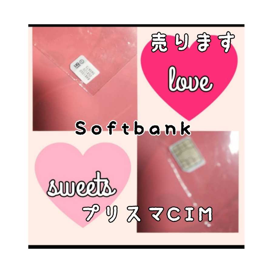 SoftbankCIM Card Pu Squirrel Ma