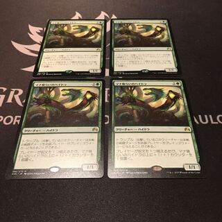 mtg マナ食らいのハイドラ 箔押しプロモ foil 日本語版 ori 人気デザイナー 箔押しプロモ マナ食らいのハイドラ mtg foil