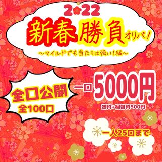 マグマ星人様　専用