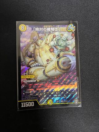 "Knight of the Absolute Shield."