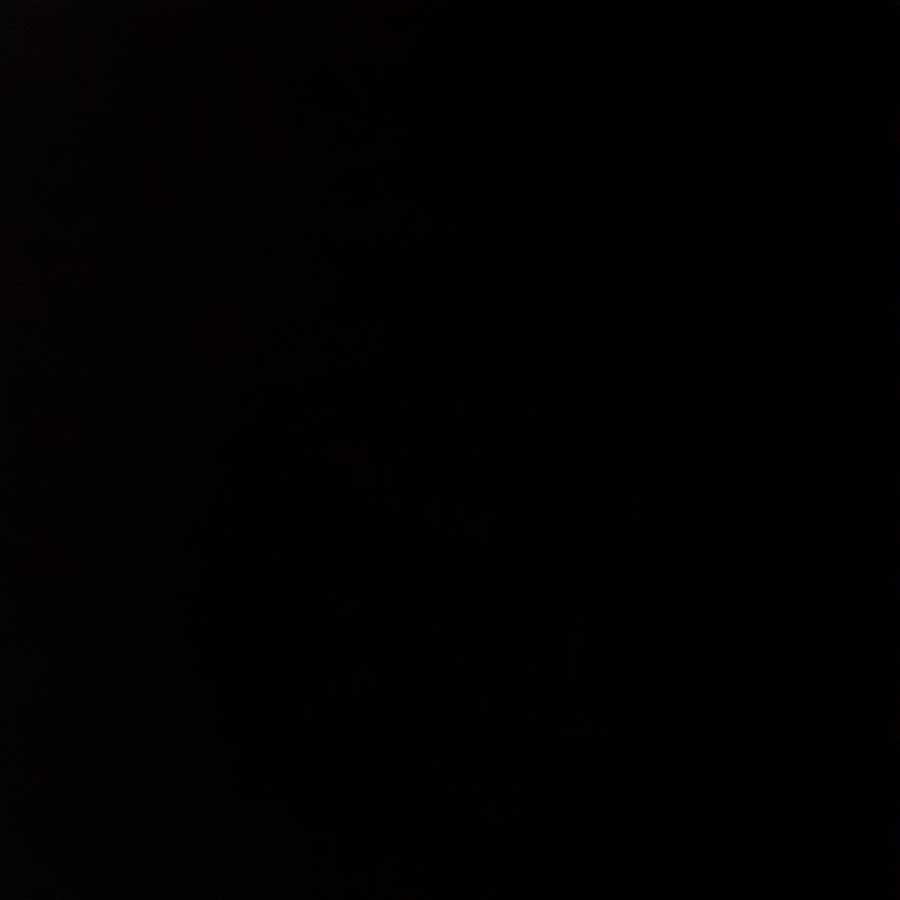 Dedicated" Gyojin <Shumacher.Star>.