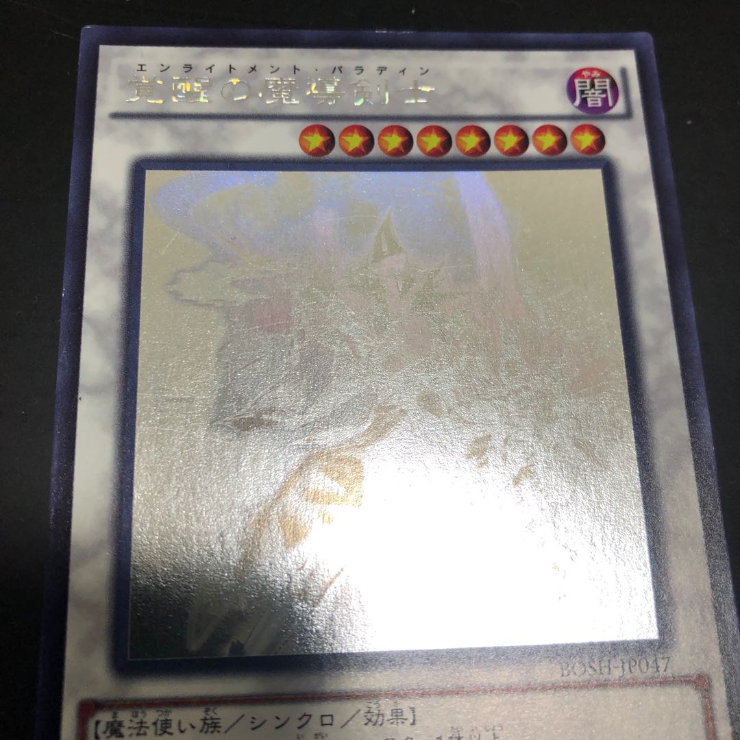 Enlightenment Paladin Holographic Rare