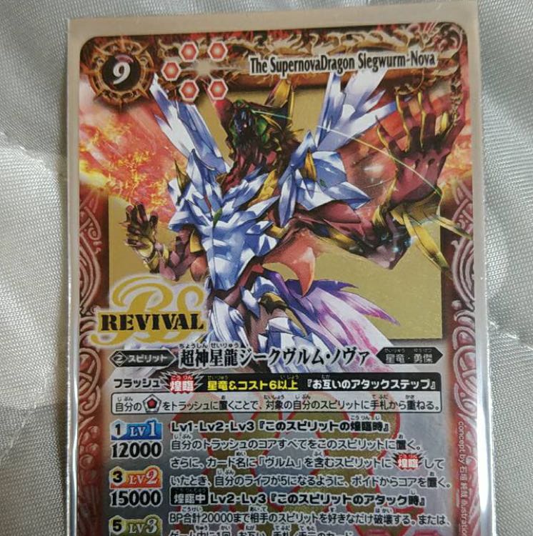 ノヴァ ANZU様用 1枚