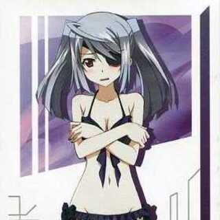 【新品・送料無料】「IS インフィニット・ストラトス」 特製スリーブ　VerT