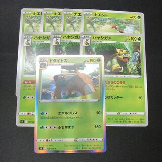 ナエトル ハヤシガメ ドダイトス