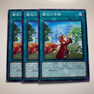 4658 Adamancipator Friends 5672