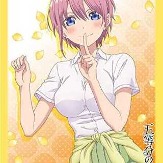 【新品・送料無料】ブロッコリーキャラクタースリーブ 五等分の花嫁「中野 一花」