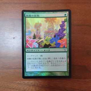 MTG/Utopia Sprawl/foil/dissension/Japanese/1 copy