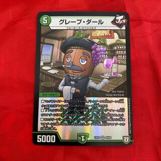 Grape Dahl, 2 pieces