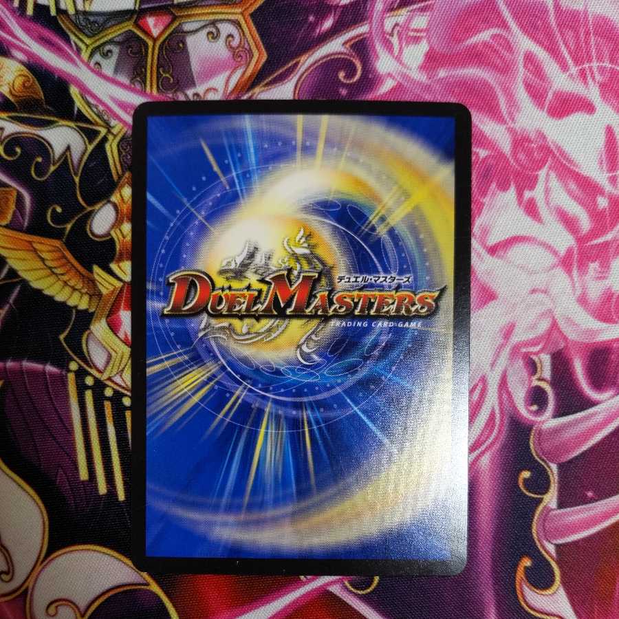 完全不明 1枚②