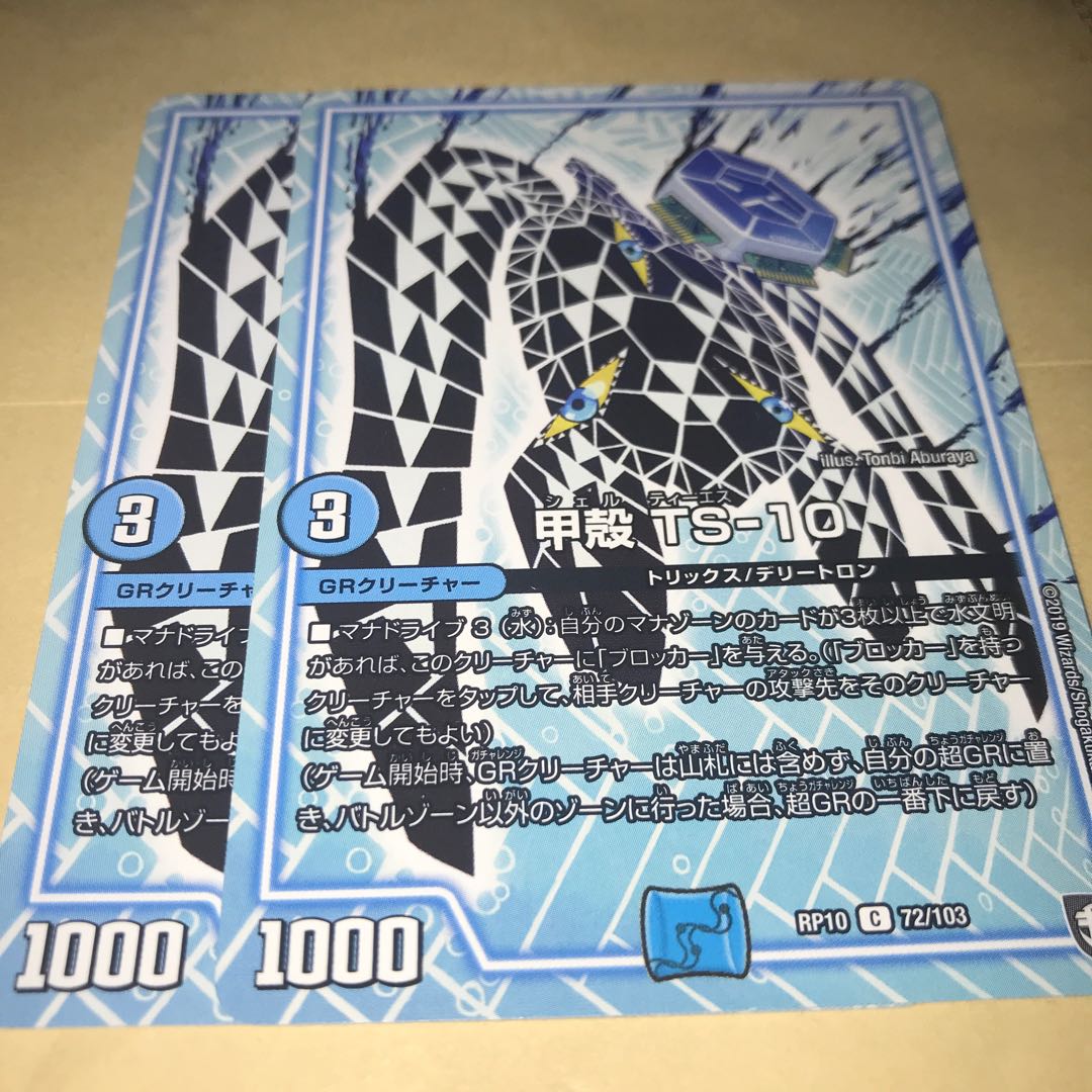 Carapace TS-10 2 sheets