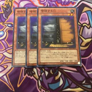 Maxx "C" normal set of 3