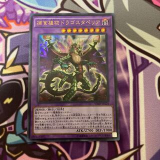 Predaplant Dragostapelia Ultra Rare