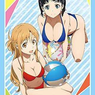 【送料無料】【新品】ソードアート・オンライン「アスナ&直葉」