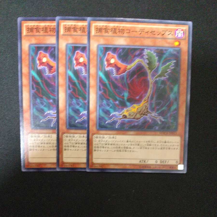 Predaplant Cordyceps Normal