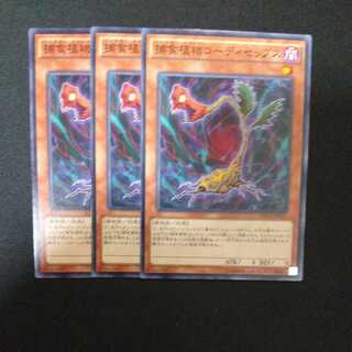 捕食植物コーディセップス ノーマル