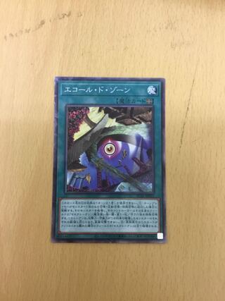 Ecole de Zone Collector's Rare