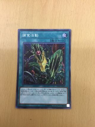 Predapractice Super Rare