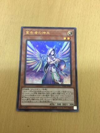 Diviner of the Herald