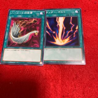 Harpie's Feather Duster