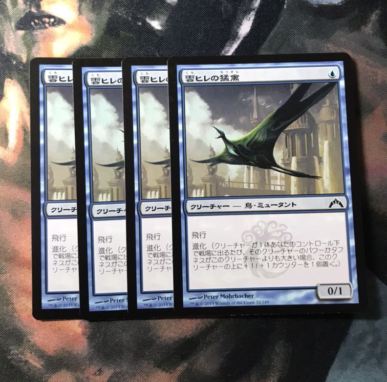 MTG 雲ヒレの猛禽 日本語 4枚セット
