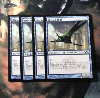MTG 雲ヒレの猛禽　日本語　4枚セット