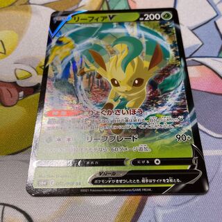 Dedicated to Mr. Tomte LeafeonV RR