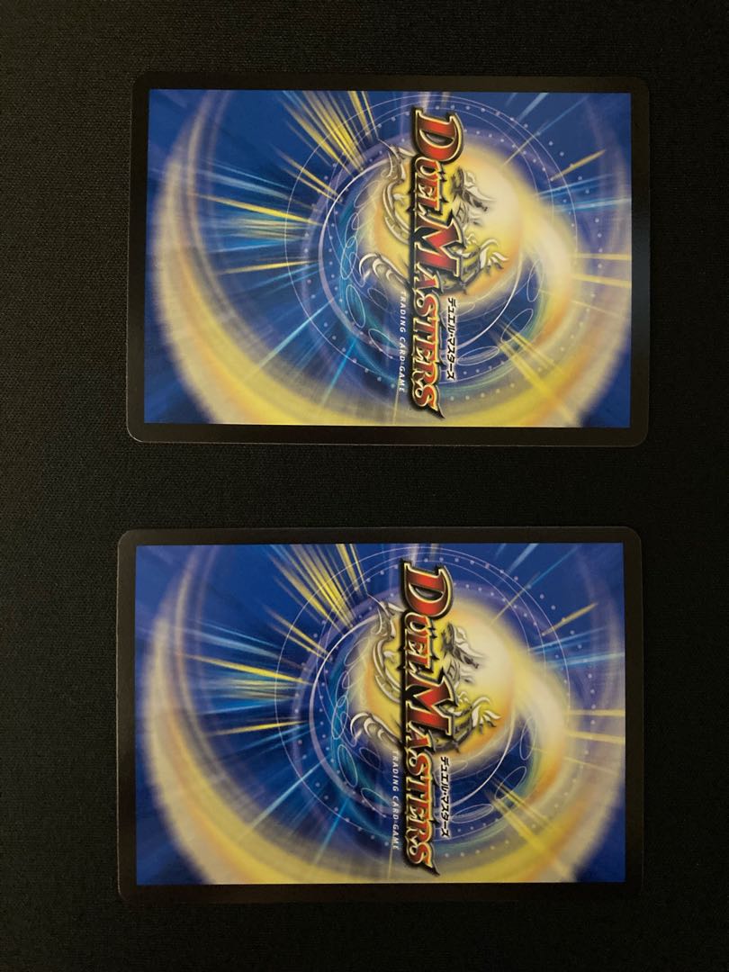 龍世界 -龍の降臨する地- 2枚 セット割引有り